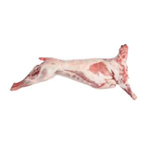Lamb Meat