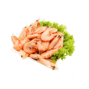 Prawns