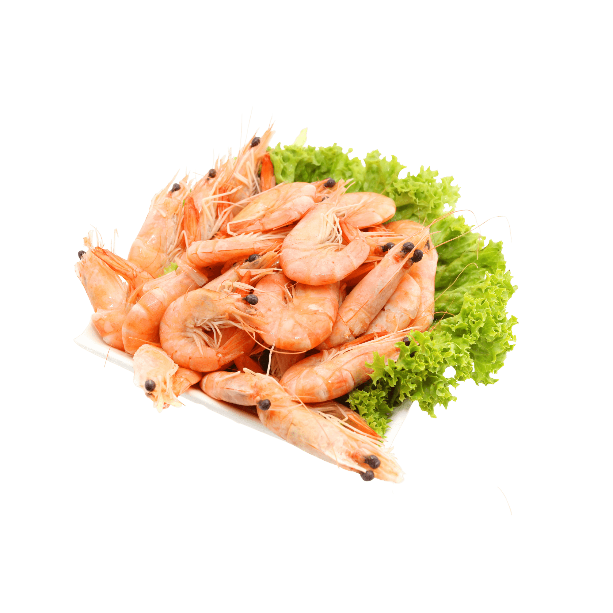 Prawns