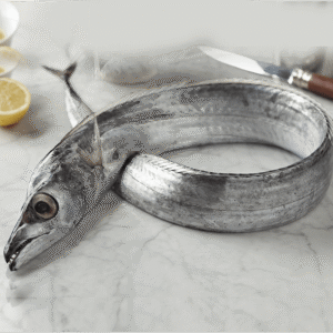 Beltfish