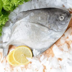 Black Pomfret