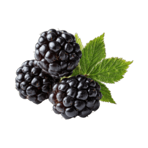 Blackberry
