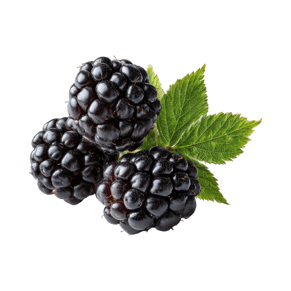 Blackberry