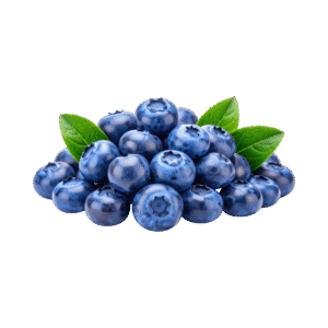 Blueberry