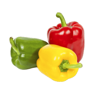 Capsicum