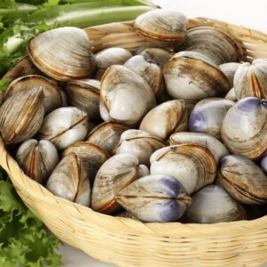 Clams – Medium