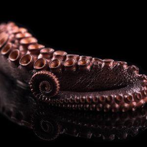 Cooked Octopus Tentacles – Frozen