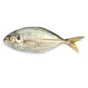 Durduman