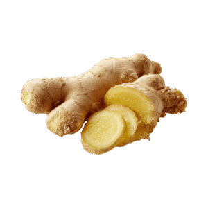 Ginger