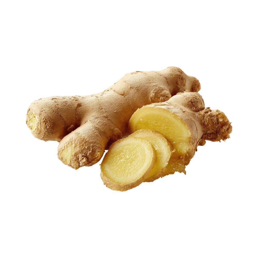 Ginger