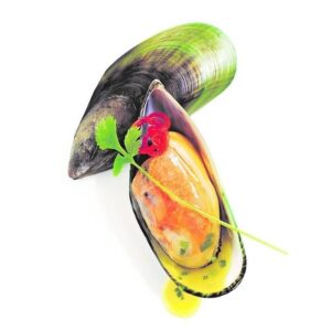 Green Mussels Half shell – Frozen