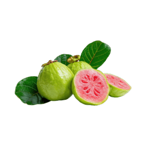 Guava