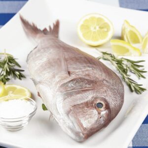 Koffer / King Soldier Bream
