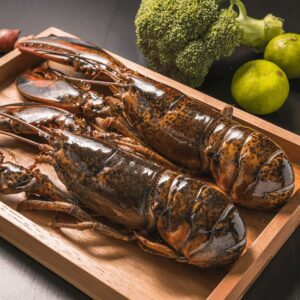 Live Lobster Large