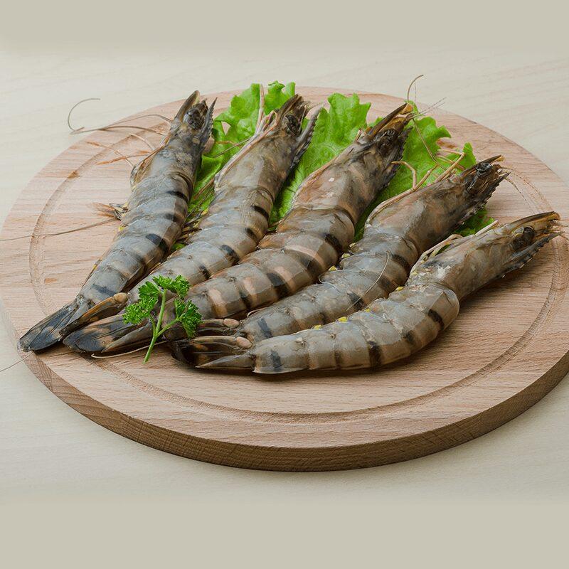 Marine Prawns – Medium