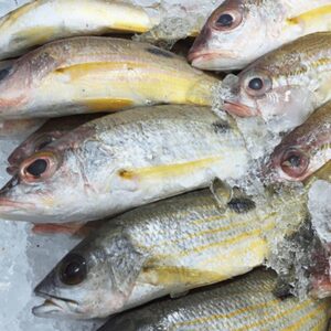 Naiser / Blackspot Snapper