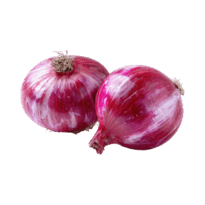 Onion
