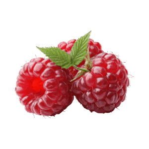 Raspberry