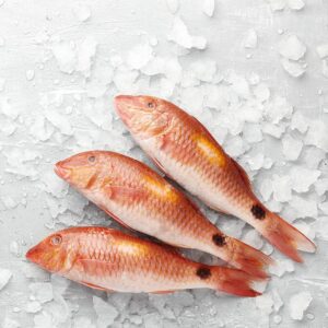 Red Mullet