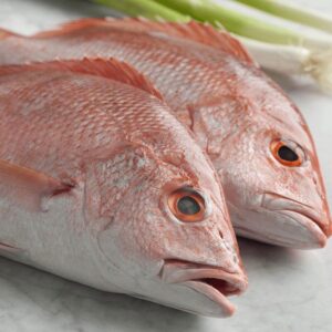 Red Snapper