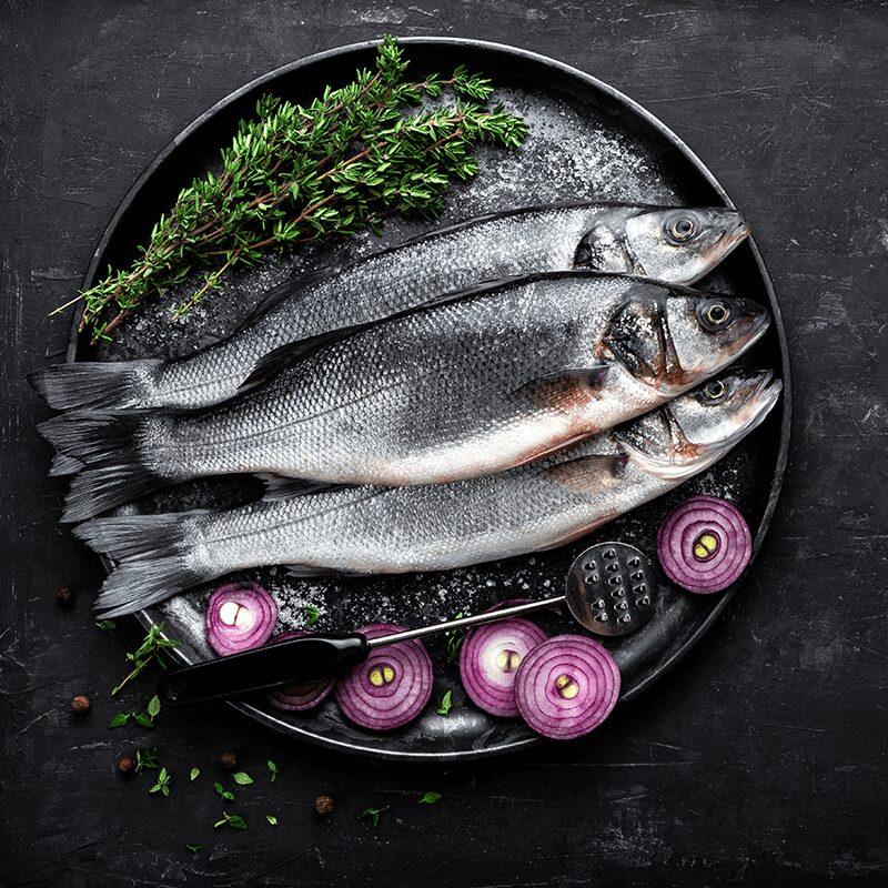 Sea Bass – Medium