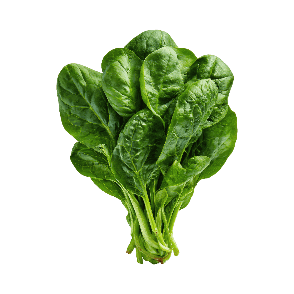 Spinach