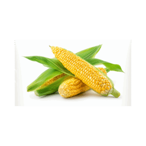 Sweet Corn