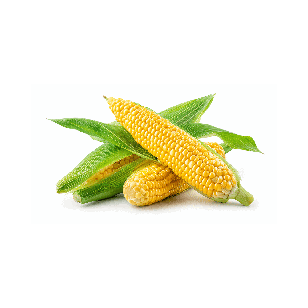 Sweet Corn